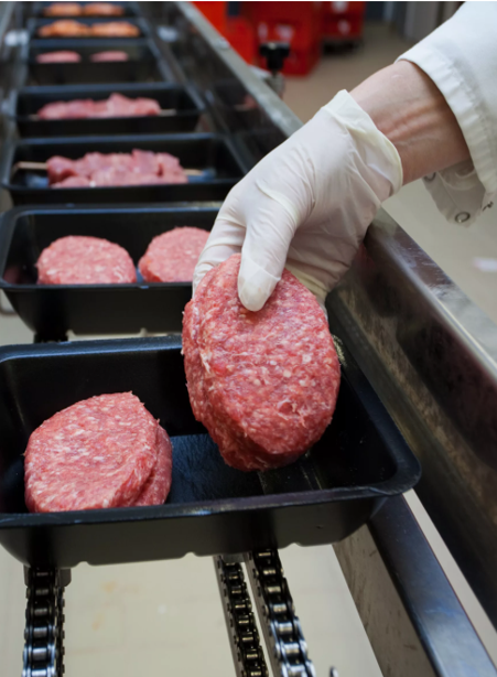 Создание нового  предприятия по производству (переработки) пищевых продуктов питания (полуфабрикатов)